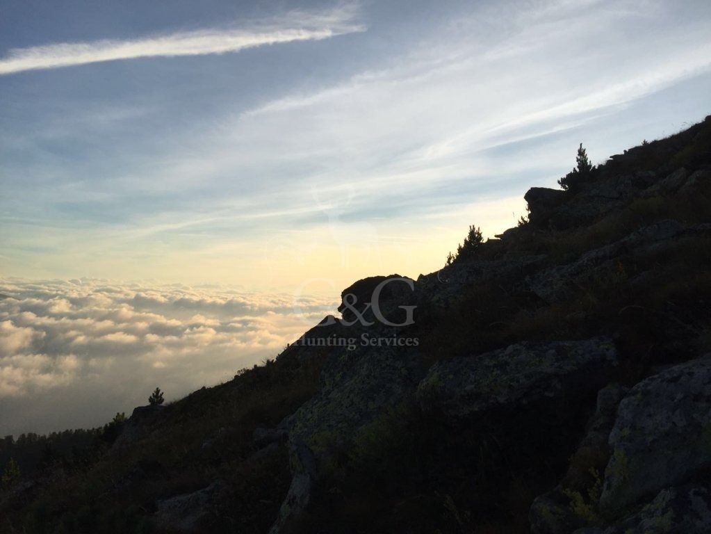 ABOUT CHAMOIS HUNTING DAY - CACCIA IN MONTAGNA - G&G HUNTING SERVICES