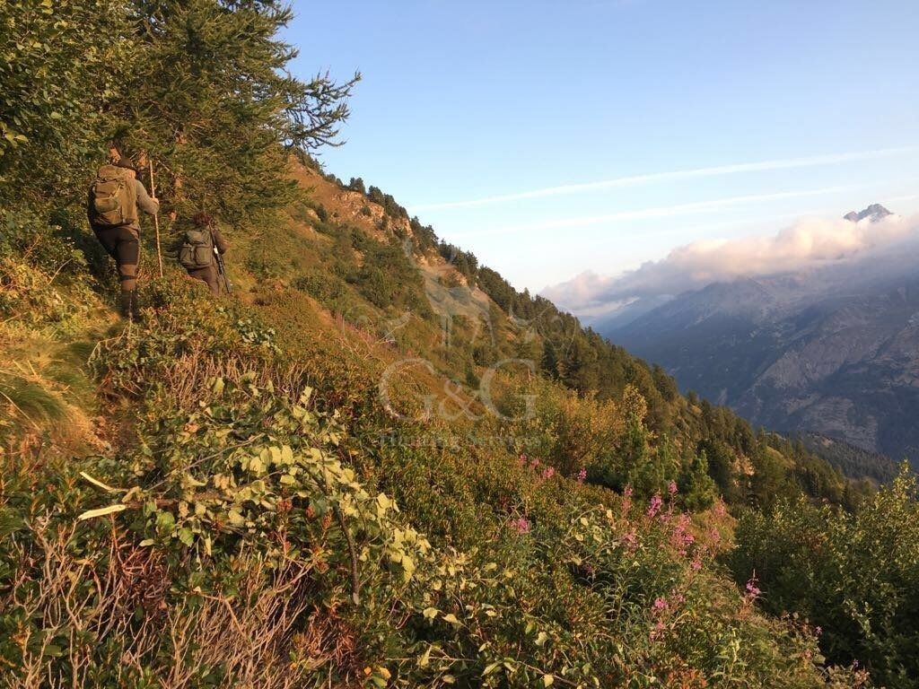 ABOUT CHAMOIS HUNTING DAY - CACCIA IN MONTAGNA - G&G HUNTING SERVICES