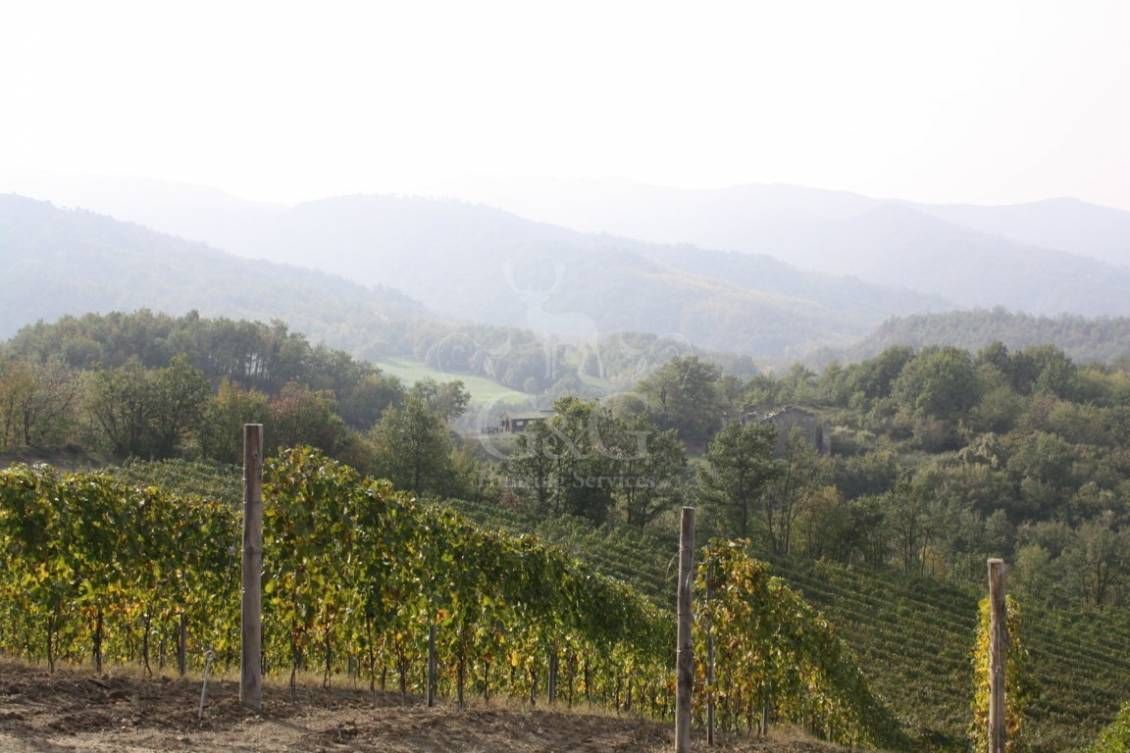 LANDSCAPES Riserva di caccia la Centuriona - Alessandria, Piemonte