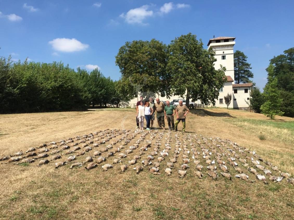 TABLEAU caccia all'anatra