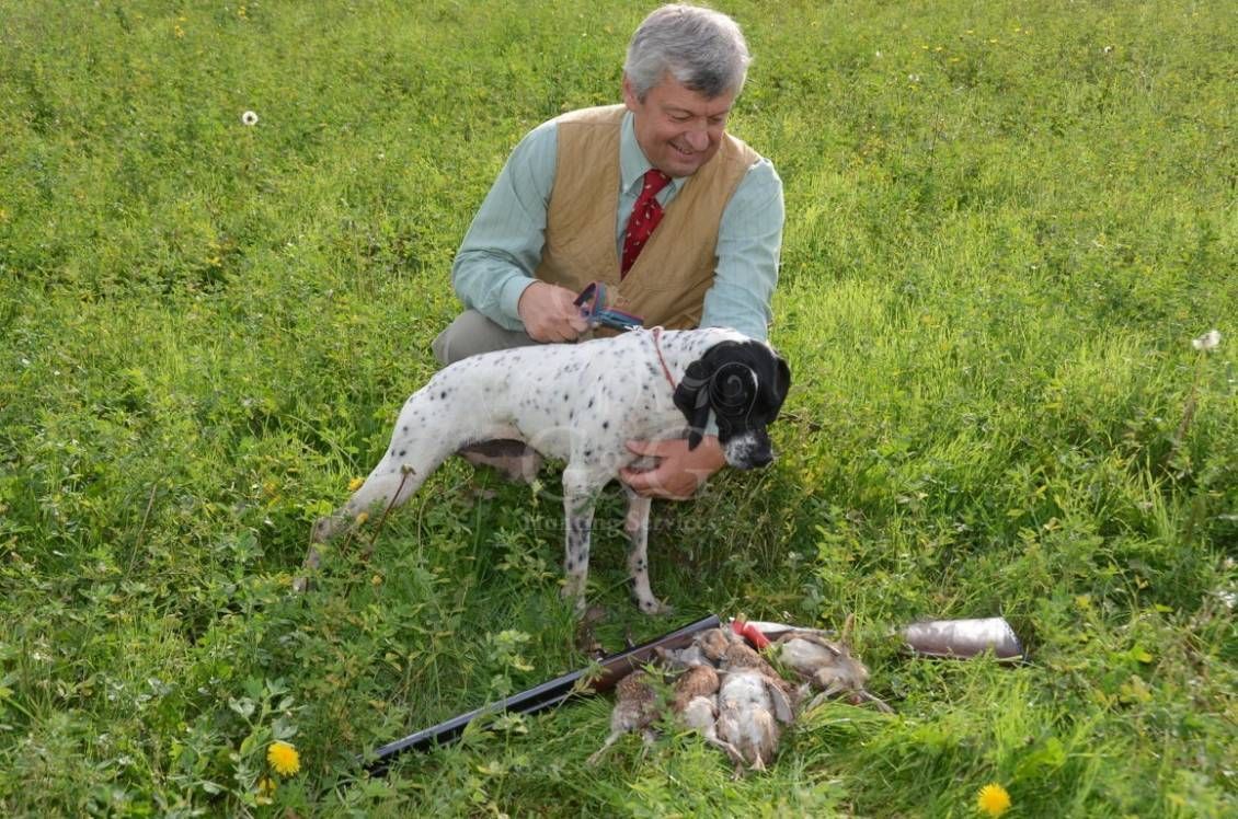 HUNTING DAY - caccia con cane da ferma