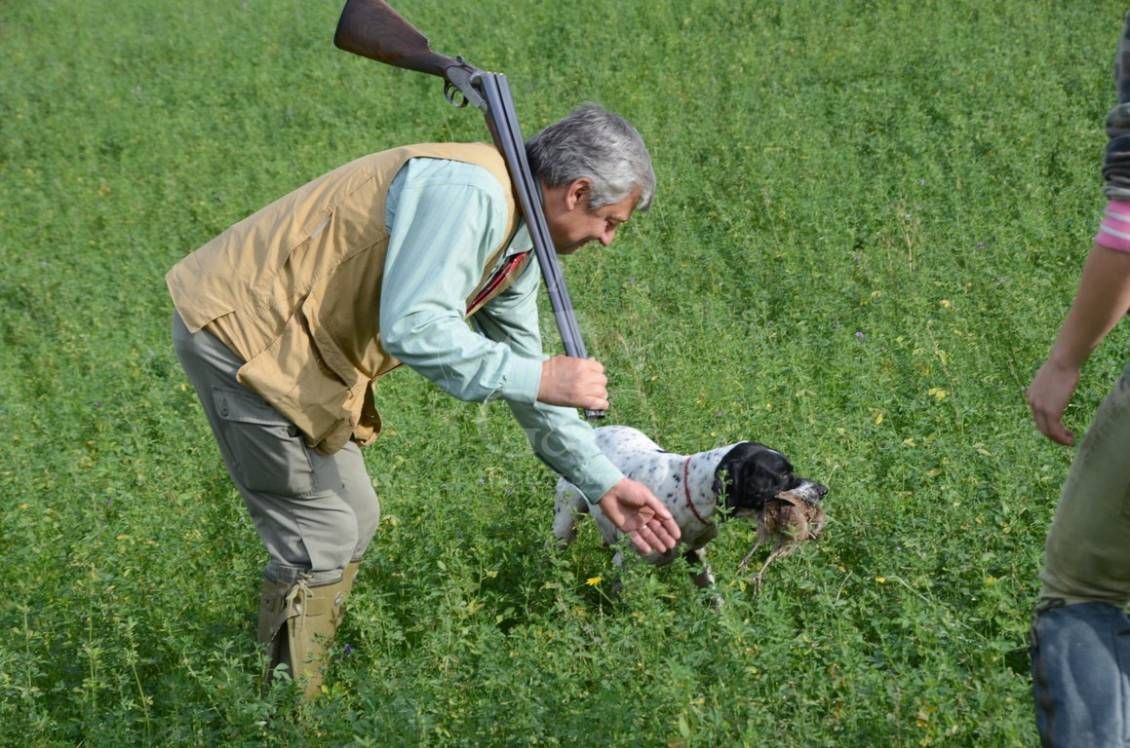 HUNTING DAY - caccia con cane da ferma