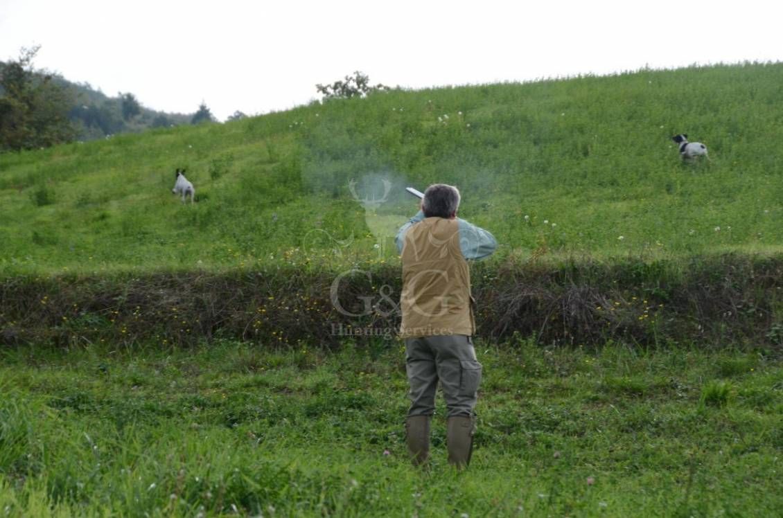 HUNTING DAY - caccia con cane da ferma