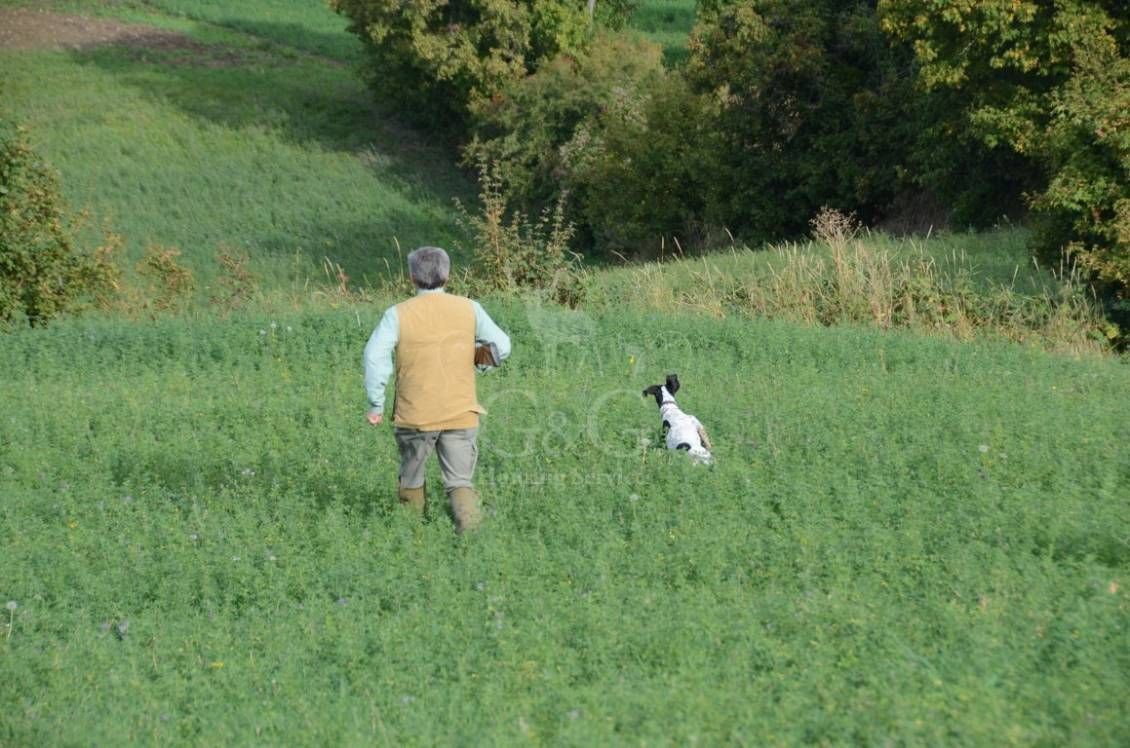 HUNTING DAY - caccia con cane da ferma