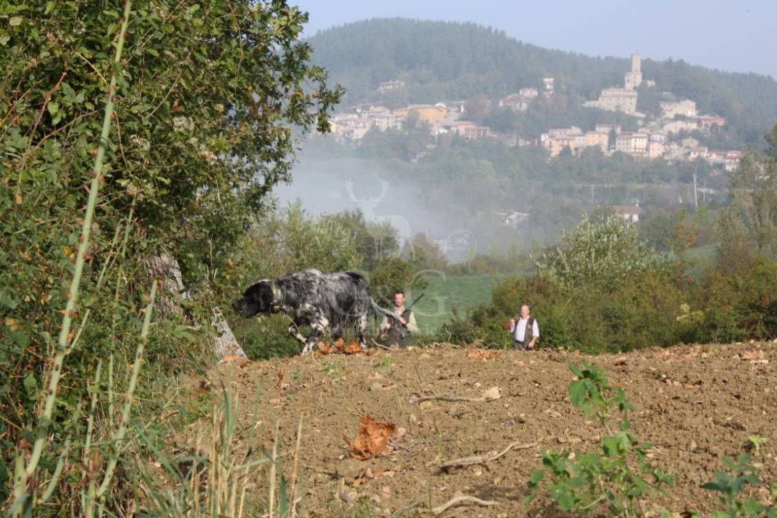HUNTING DAY - caccia con cane da ferma