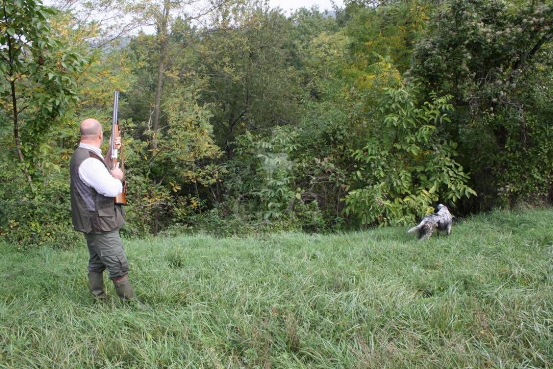 HUNTING DAY - caccia con cane da ferma