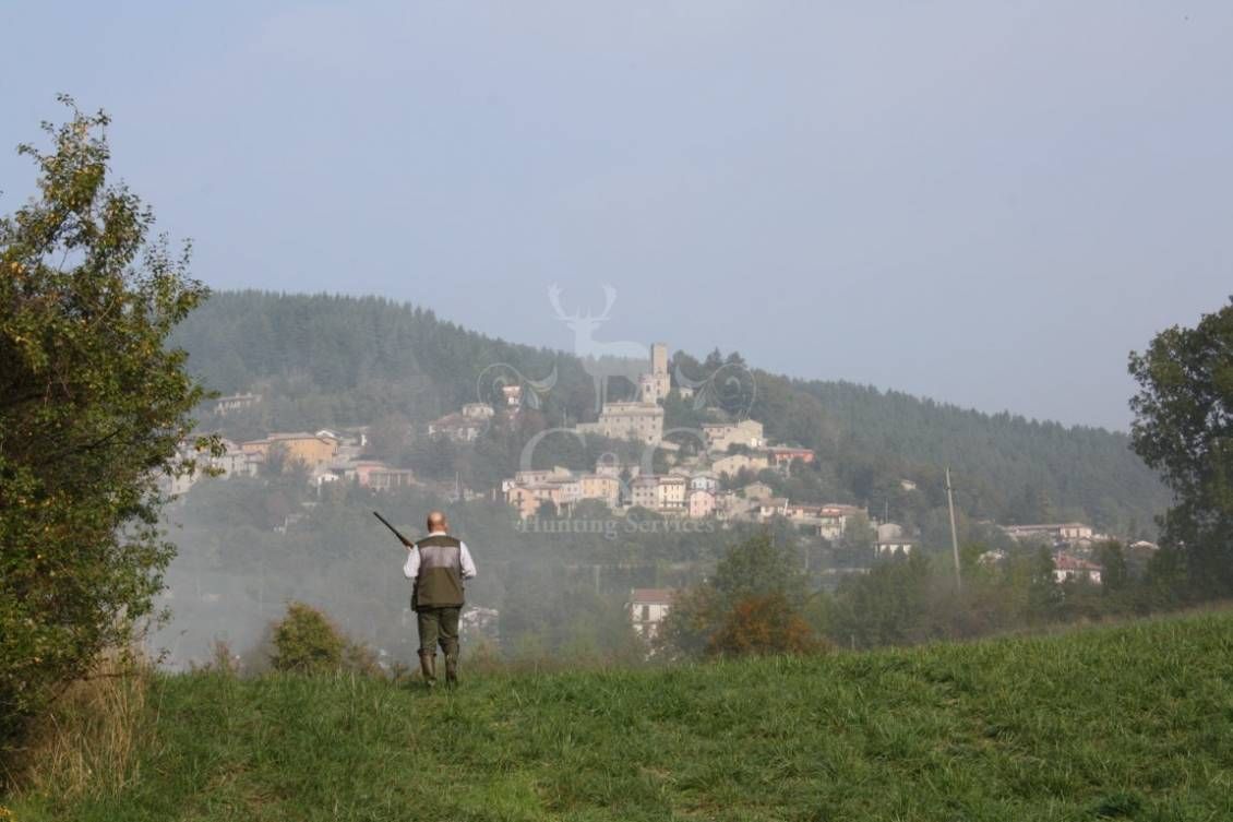 HUNTING DAY - caccia con cane da ferma
