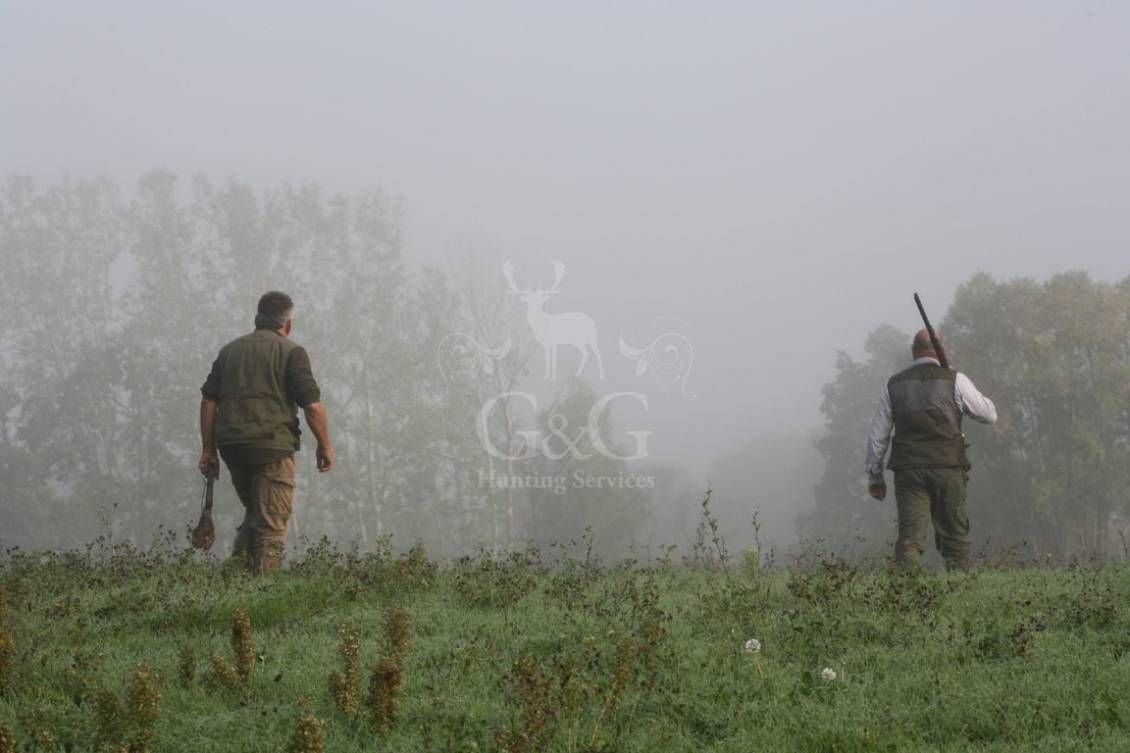 HUNTING DAY - caccia con cane da ferma