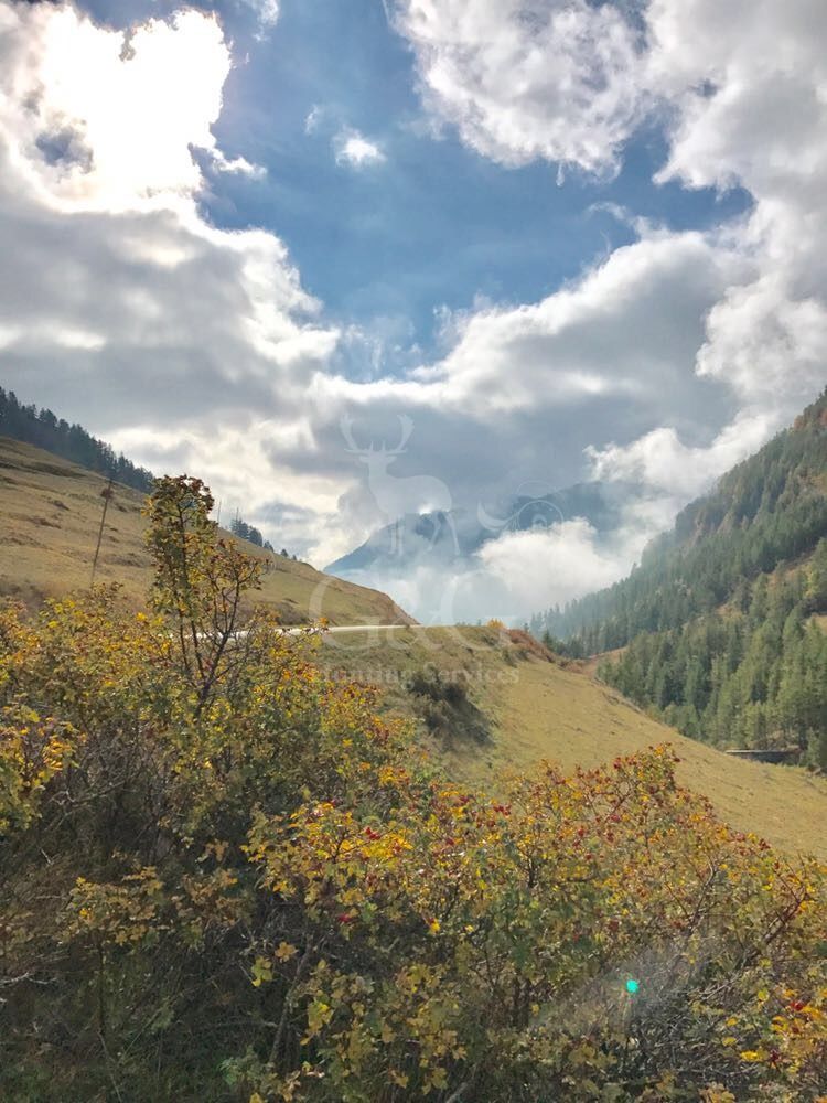 ABOUT CHAMOIS HUNTING DAY - CACCIA IN MONTAGNA - G&G HUNTING SERVICES