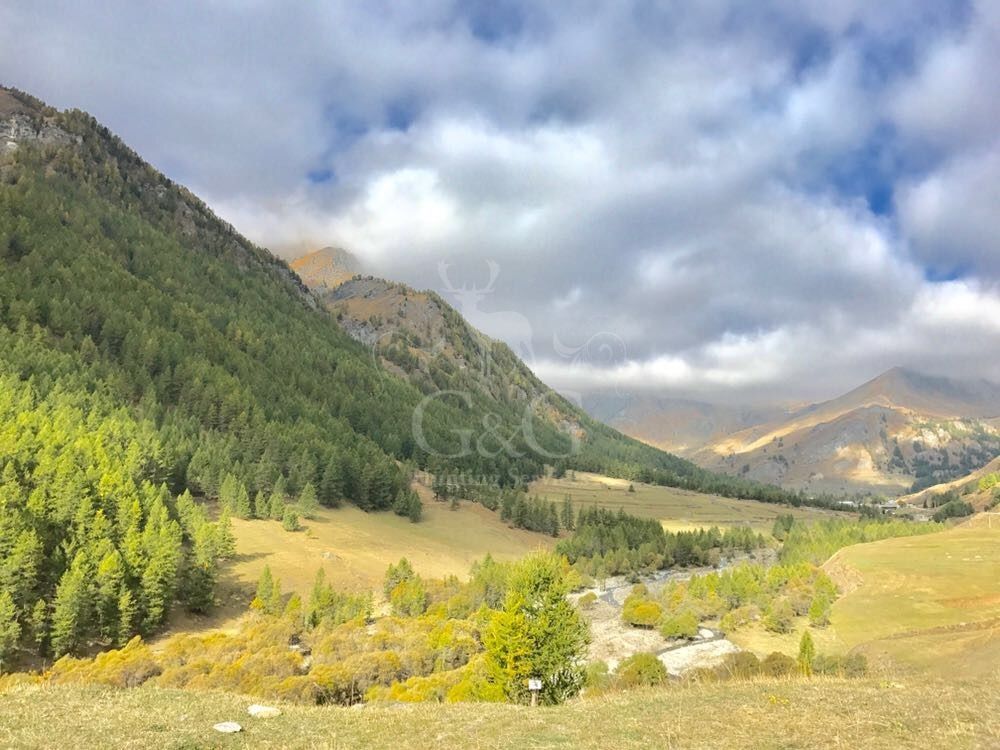 ABOUT CHAMOIS HUNTING DAY - CACCIA IN MONTAGNA - G&G HUNTING SERVICES