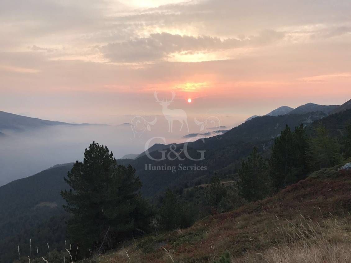 ABOUT CHAMOIS HUNTING DAY - CACCIA IN MONTAGNA - G&G HUNTING SERVICES