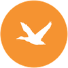 Caccia all'anatra - G&G Hunting Services