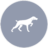 Caccia con Cane da ferma - G&G Hunting Services