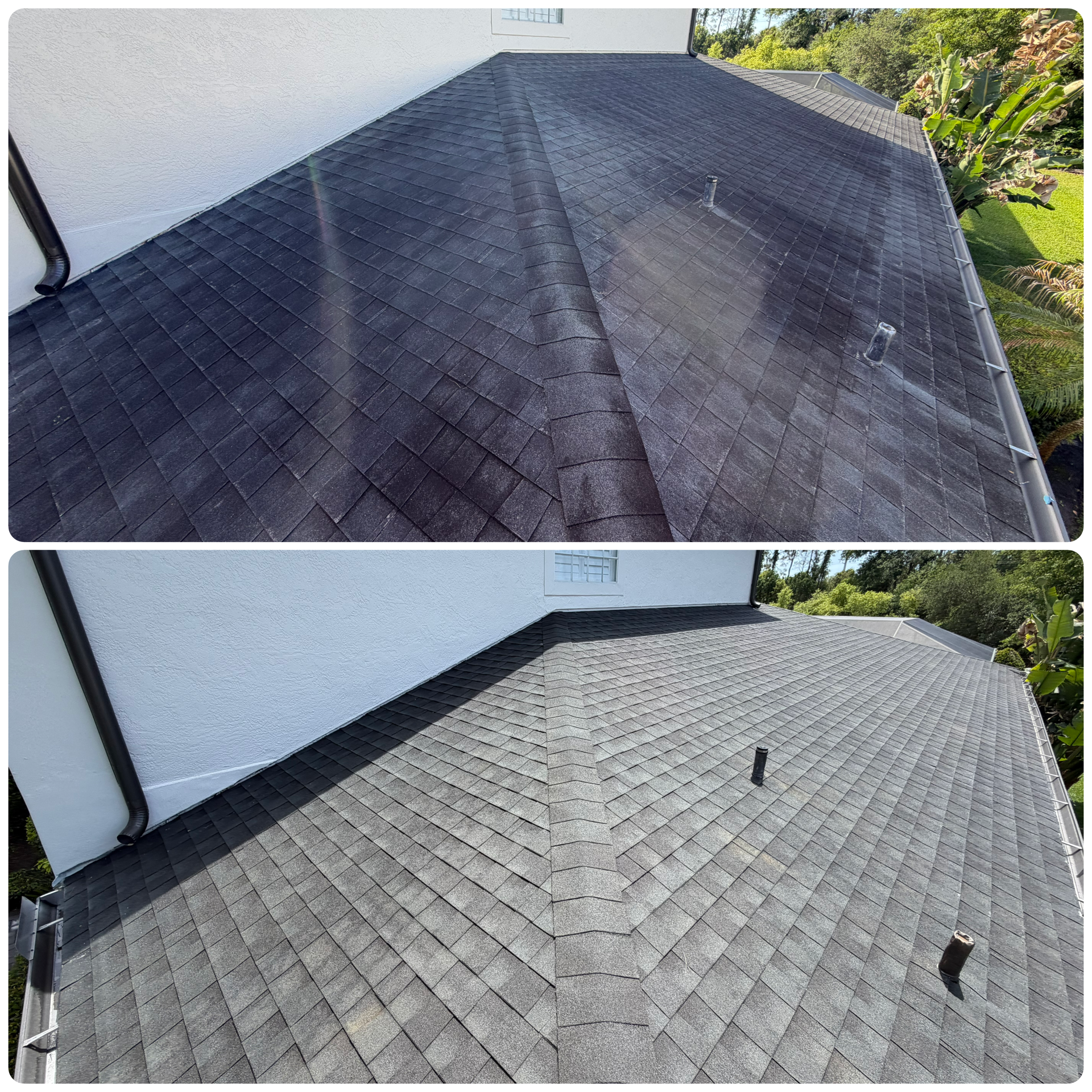 Soft wash roof cleaning for shingle roofs in Avila Wild West Washing safely removes algae & stains Free quotes available now!