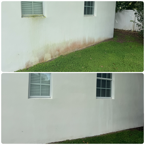Restoration In Citrus Park