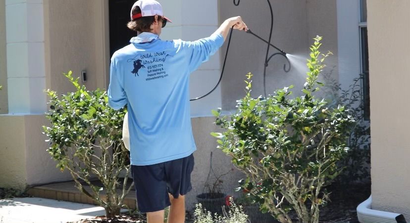 man spraying bush