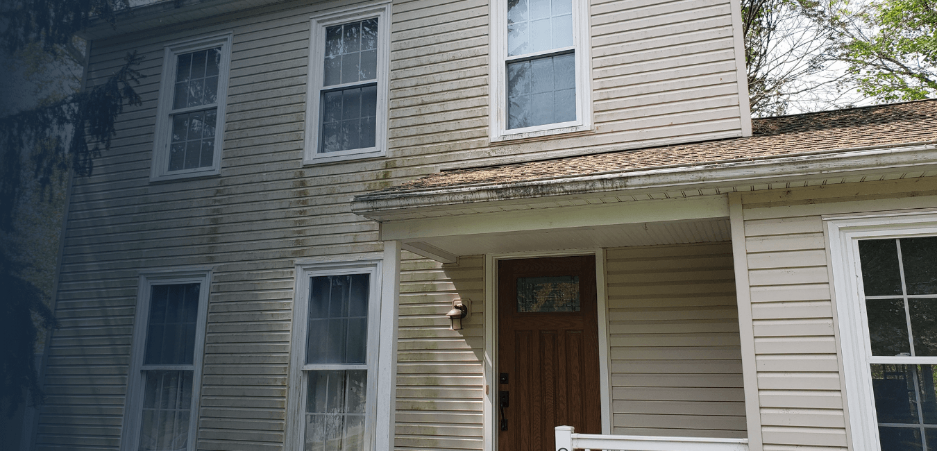 Before House Wash Restore your home's exterior with expert soft washing in Tampa Bay. Remove mold, algae, mildew, and stubborn stains safely.