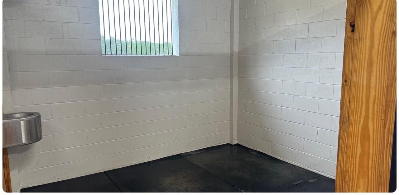 Stall cleaning for horses!