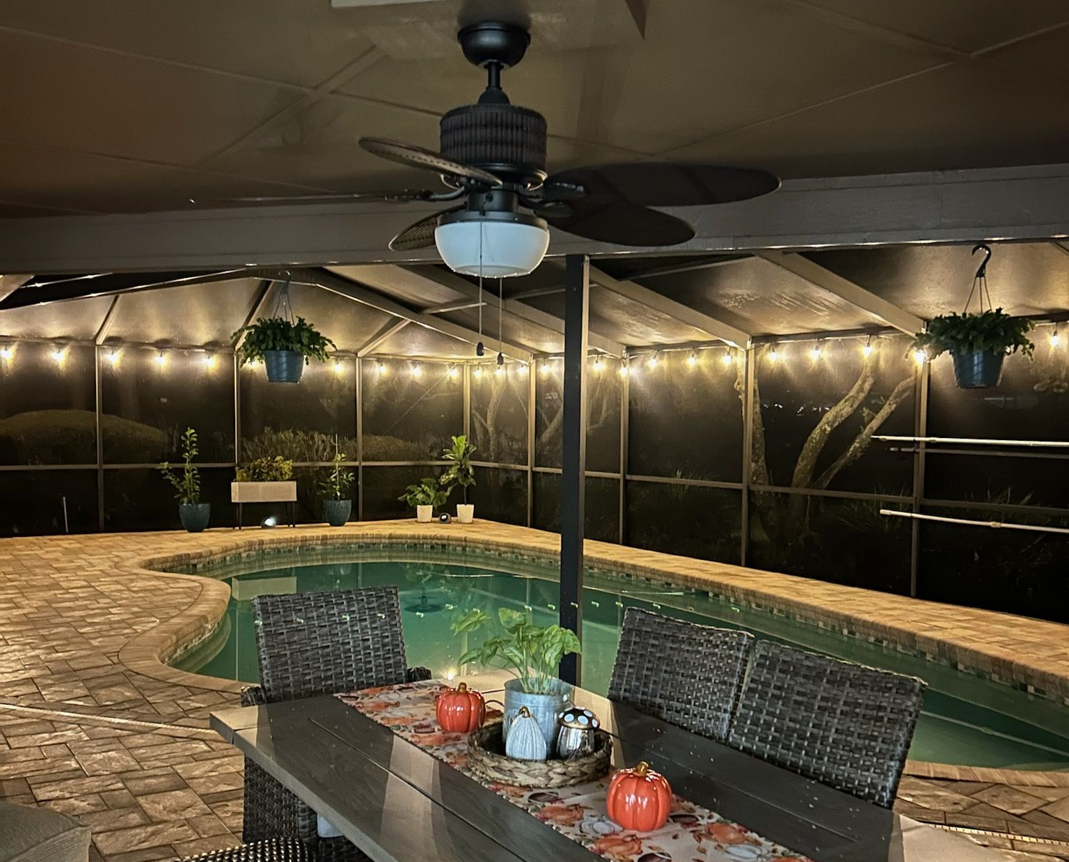 Bistro Lighting in Tampa!
