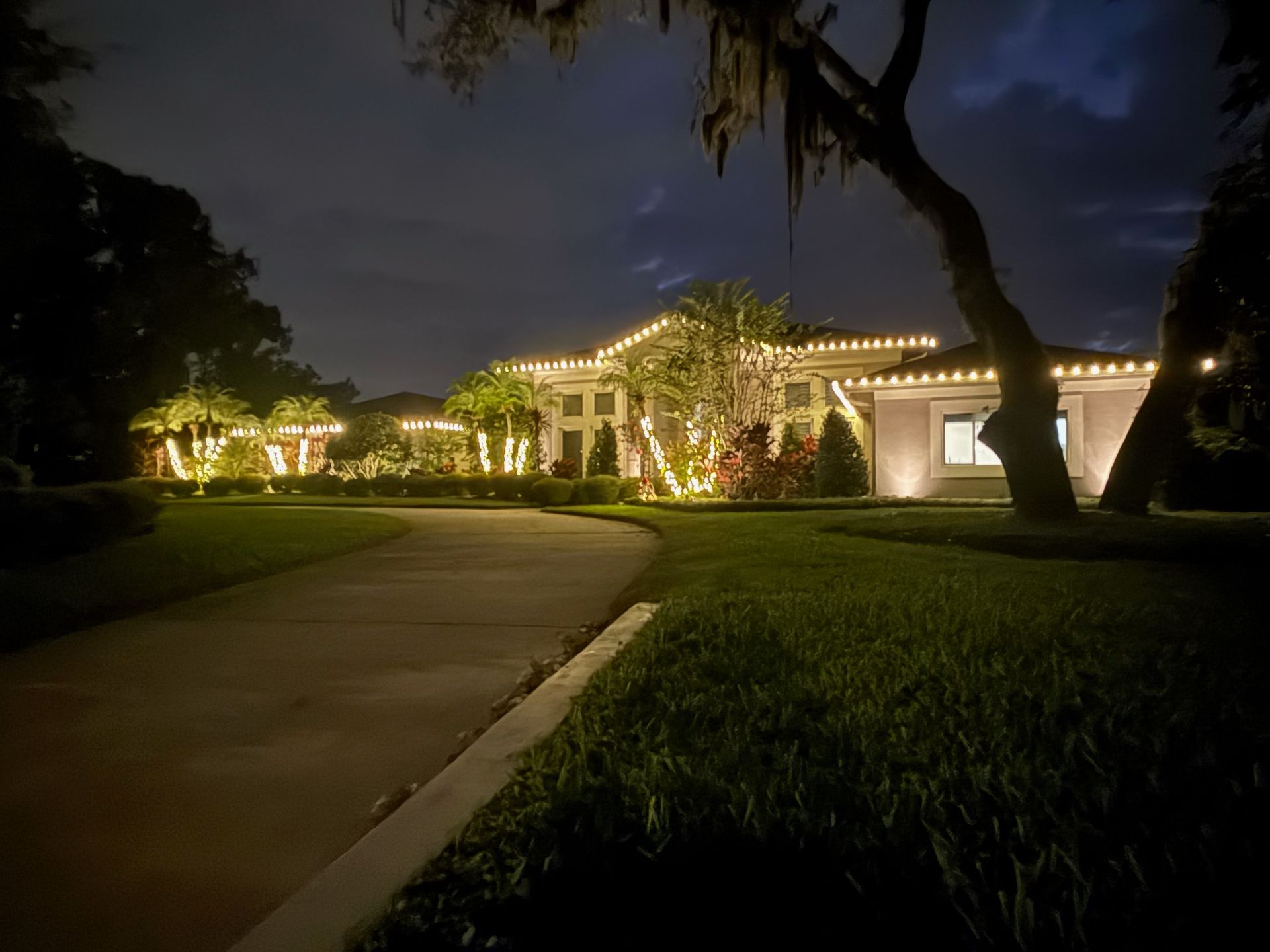 Christmas Lights In Avila