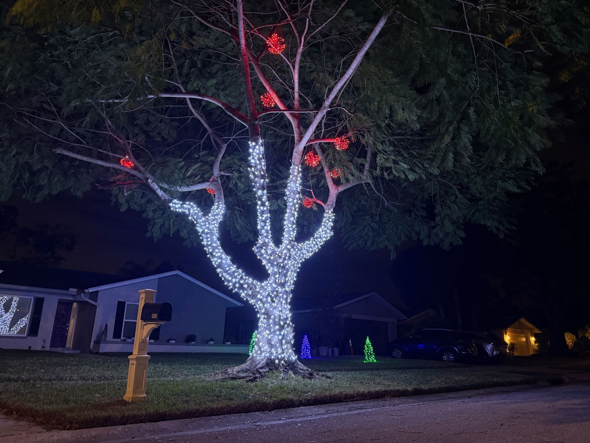 Lights In Carrollwood