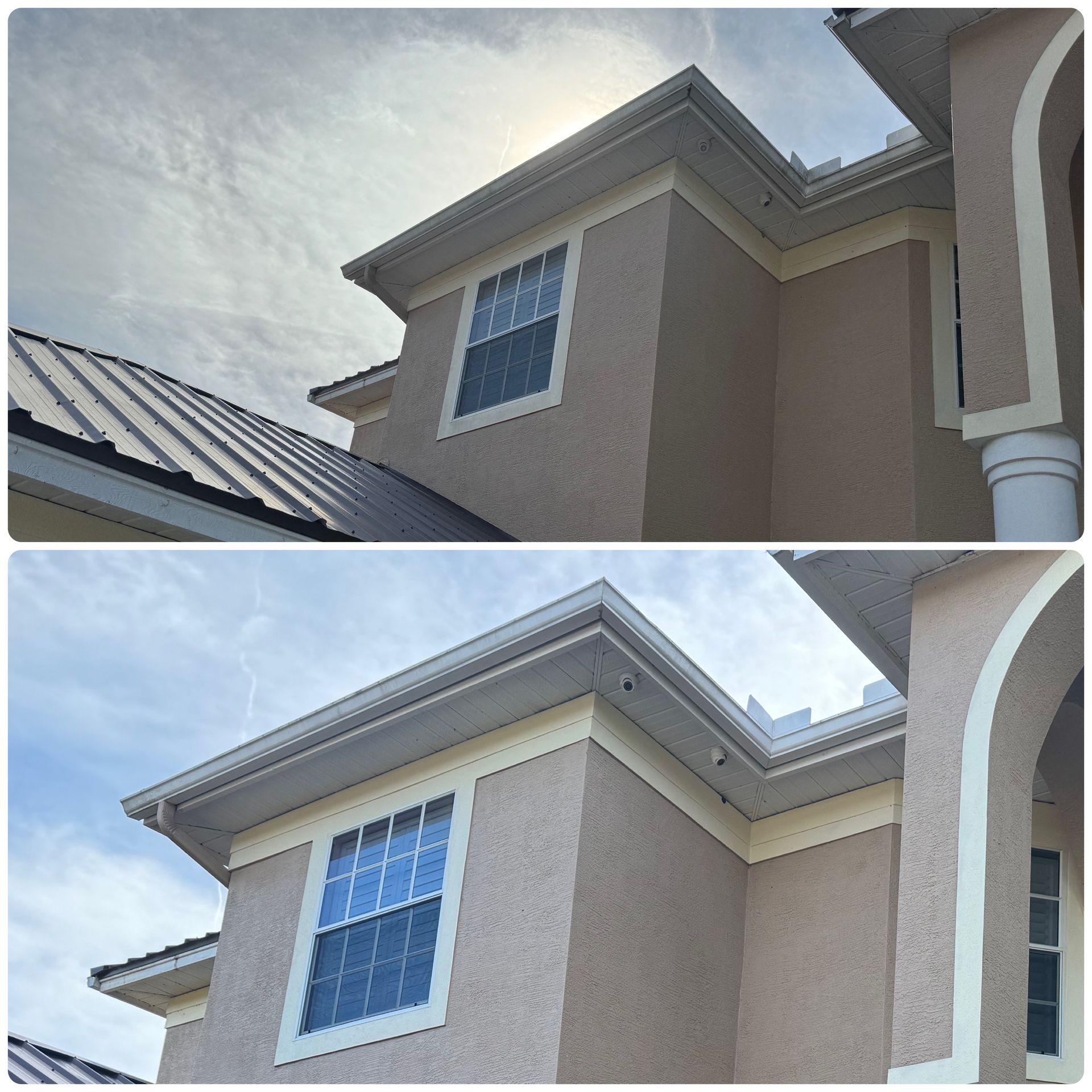 New Tampa Cleaning