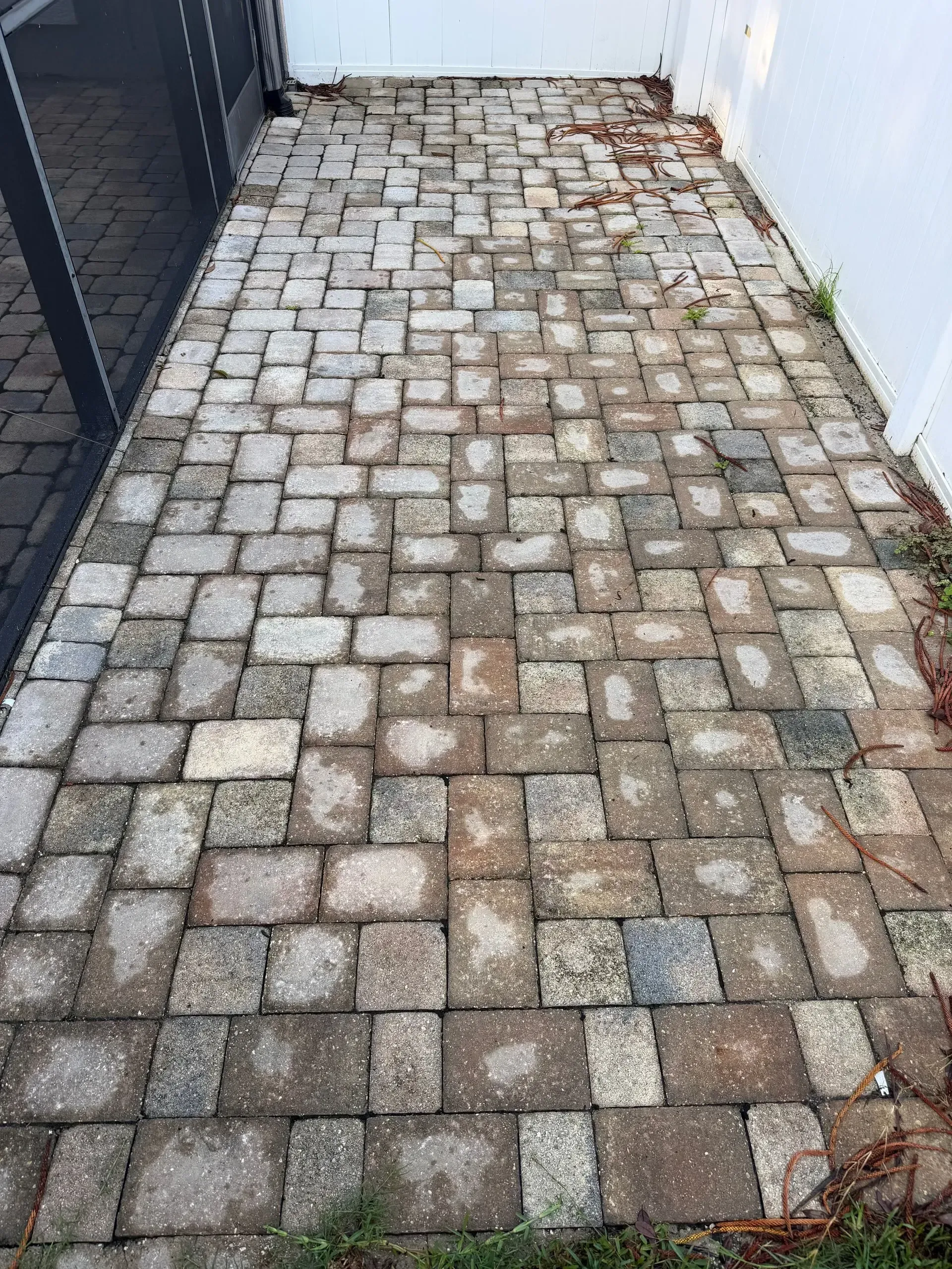 Give your Lutz pool patio and pavers new life! Wild West Washing offers expert cleaning and sealing—get your free quote today