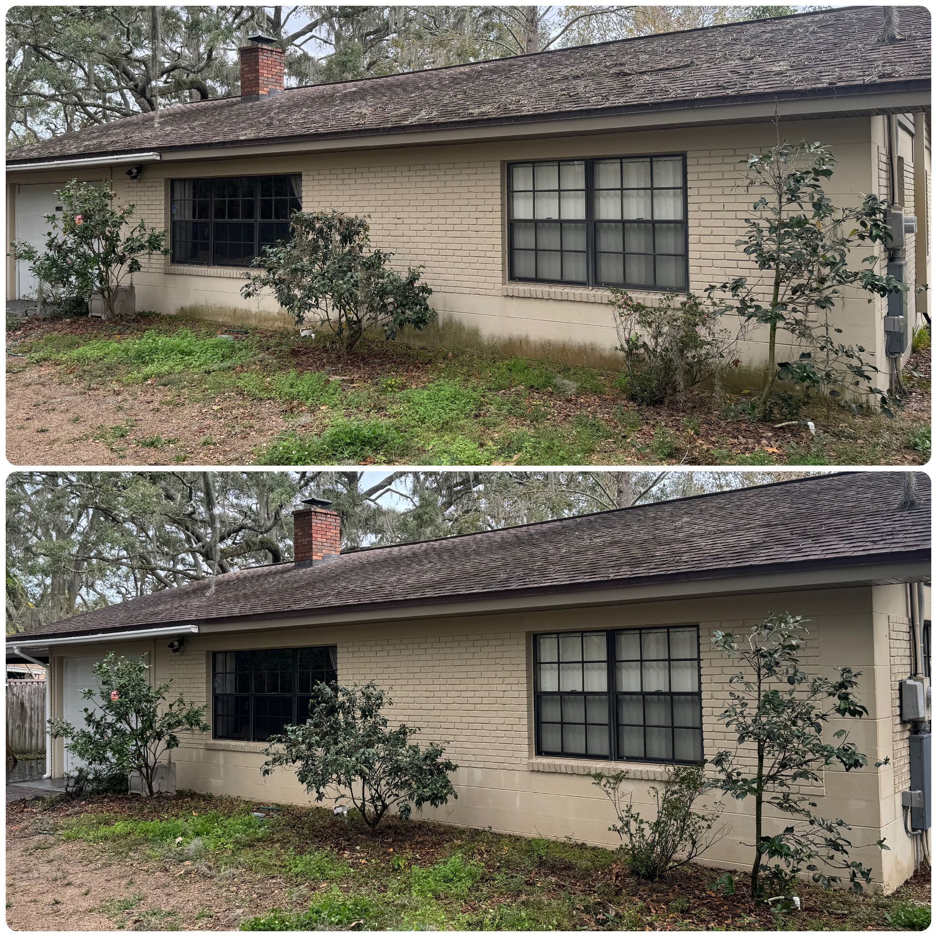 Restore your Lake Magdalene home's exterior with professional house washing that removes years of dirt and organic buildup.