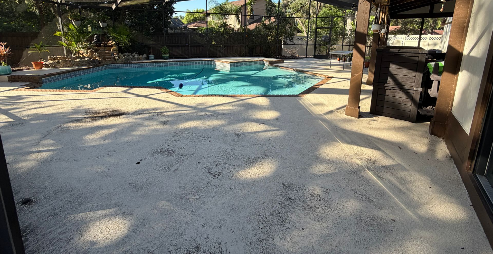 Pool Patio and Pool cage cleaning in Carrollwood.