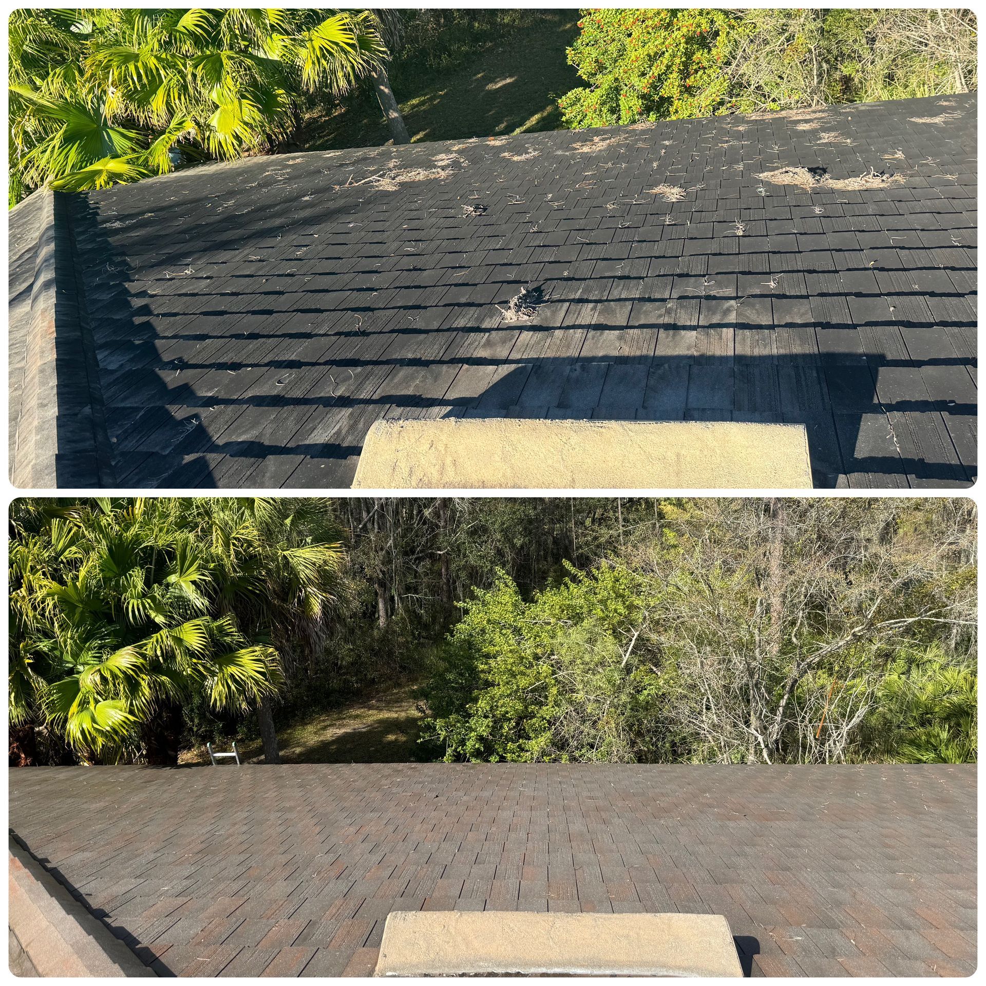 Tile roof cleaning for commercial office properties in Tampa. Wild West Washing removes algae & stains safely. Call us today!