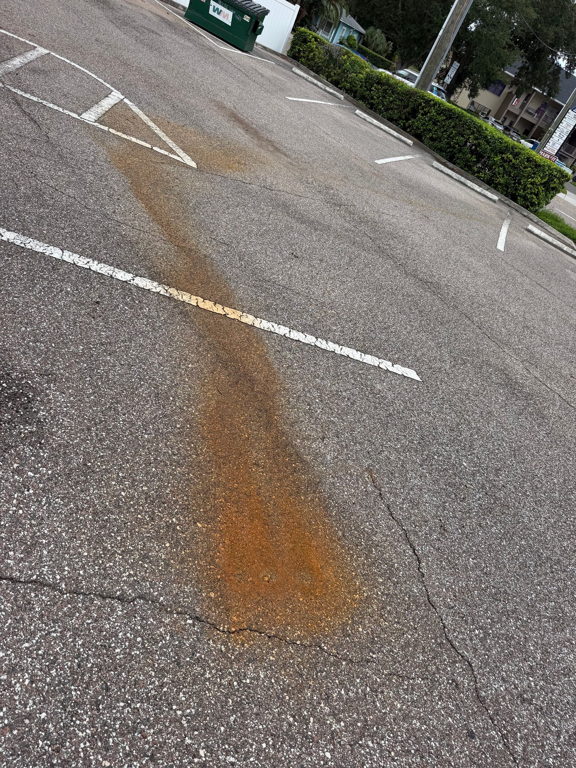 Professional rust removal service on a concrete surface in Tampa Bay, close-up view