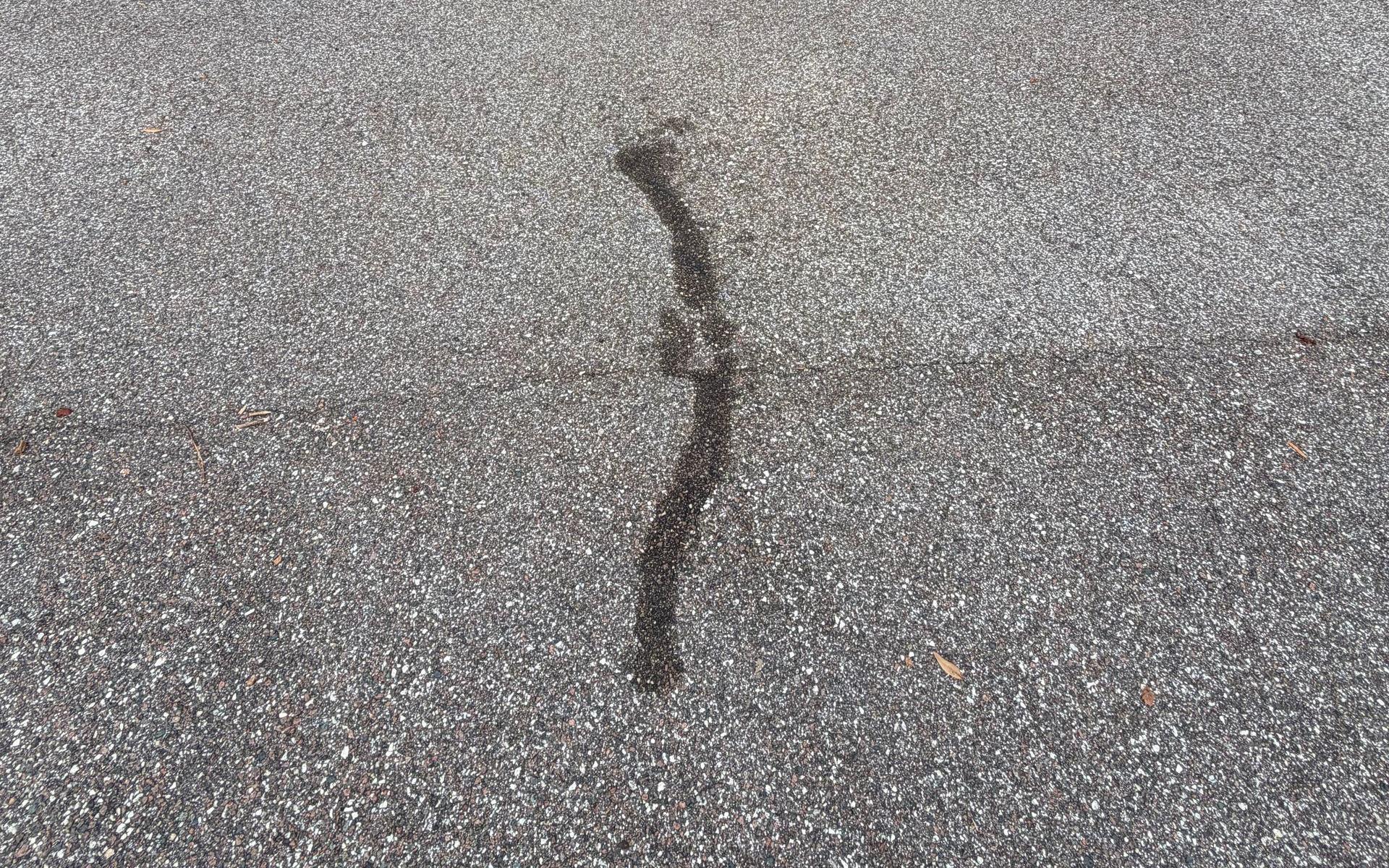 Oil stain removal from a concrete driveway in Tampa Bay, close-up view
