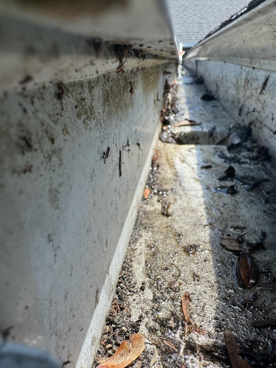 Gutter Cleaning