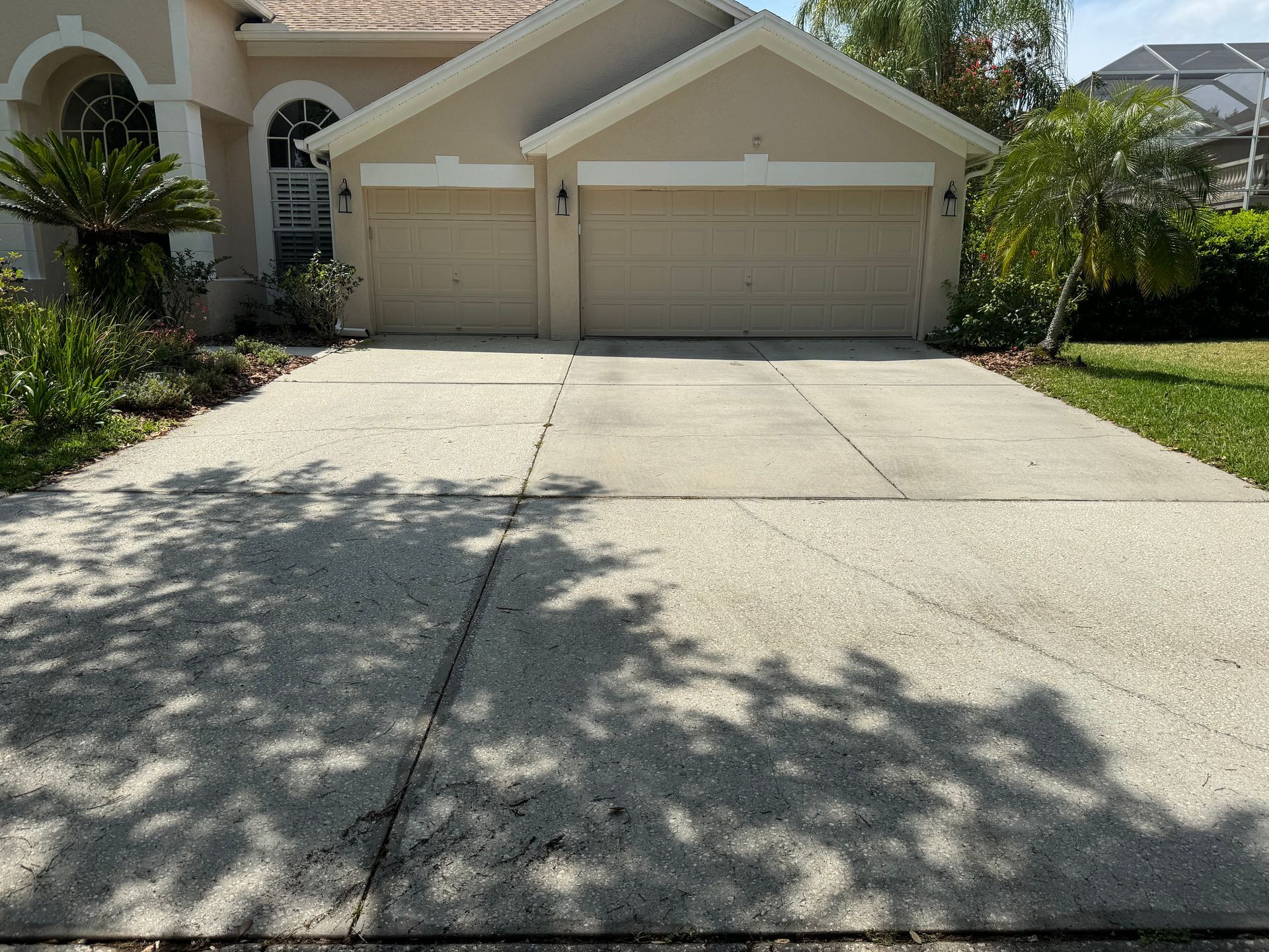 Tampa Palms