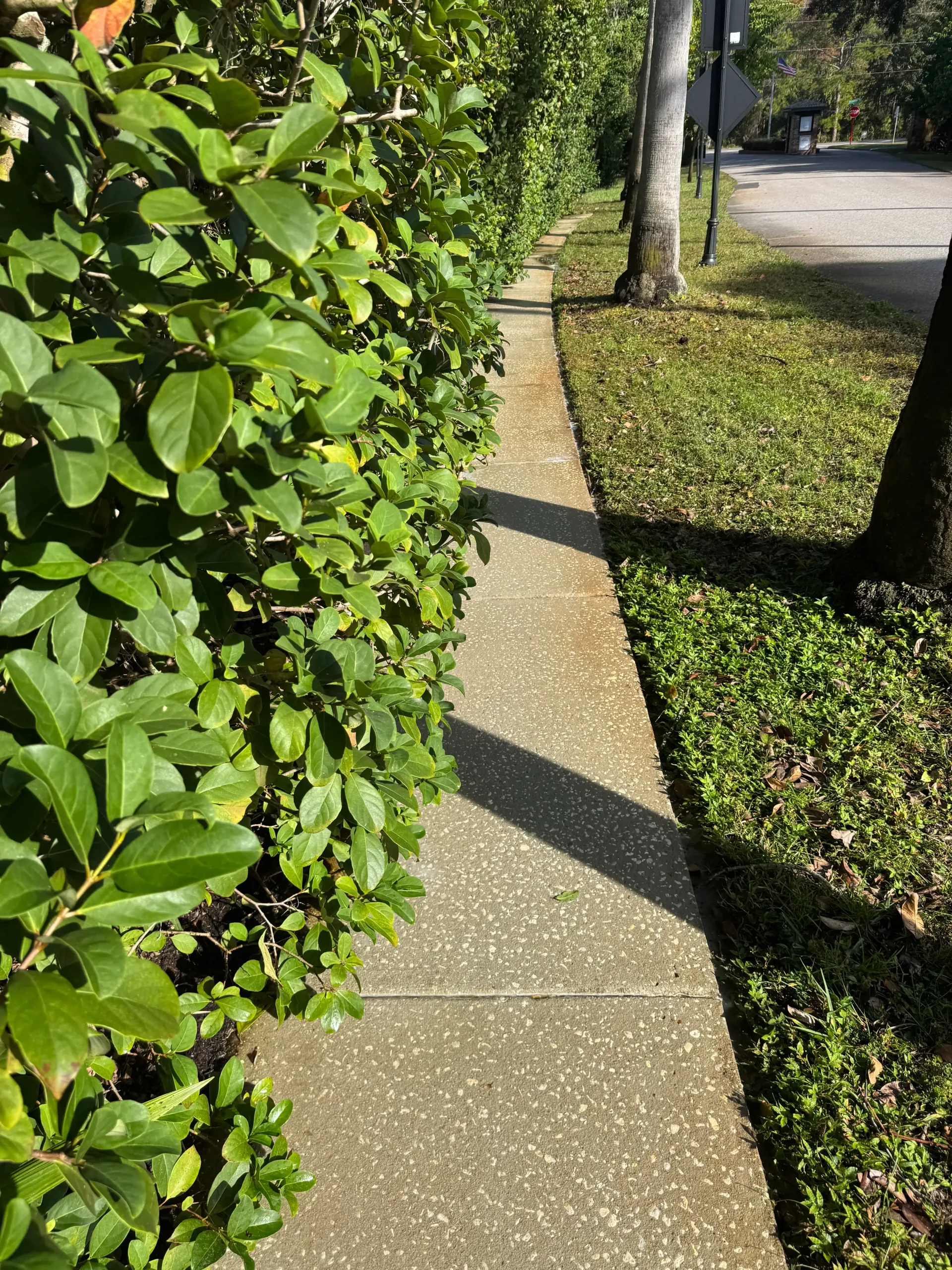 Sidewalk Restoration in Odessa