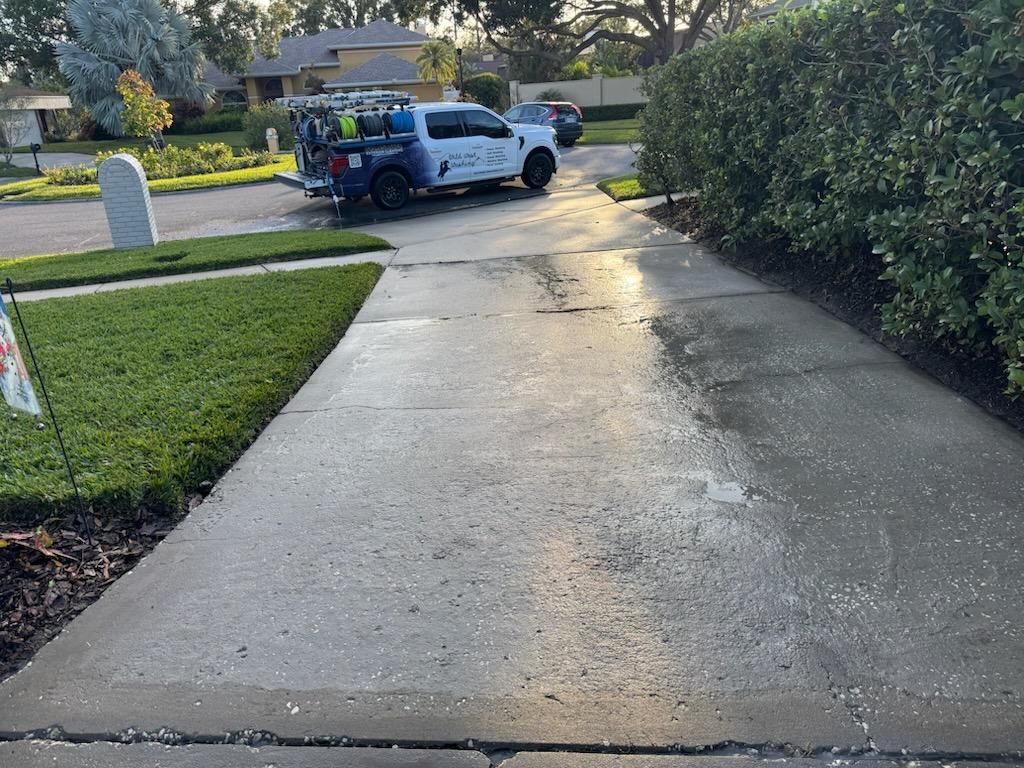 Driveway cleaning In Carrollwood.