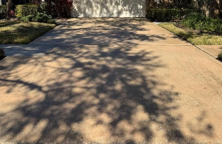 Driveway Cleaning
