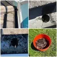 Professional gutter cleaning removes leaves, debris, and buildup to improve water flow, protect your home, and prevent damage