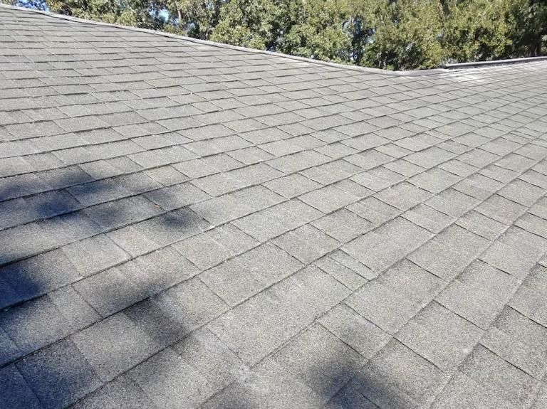 Roof Cleaning