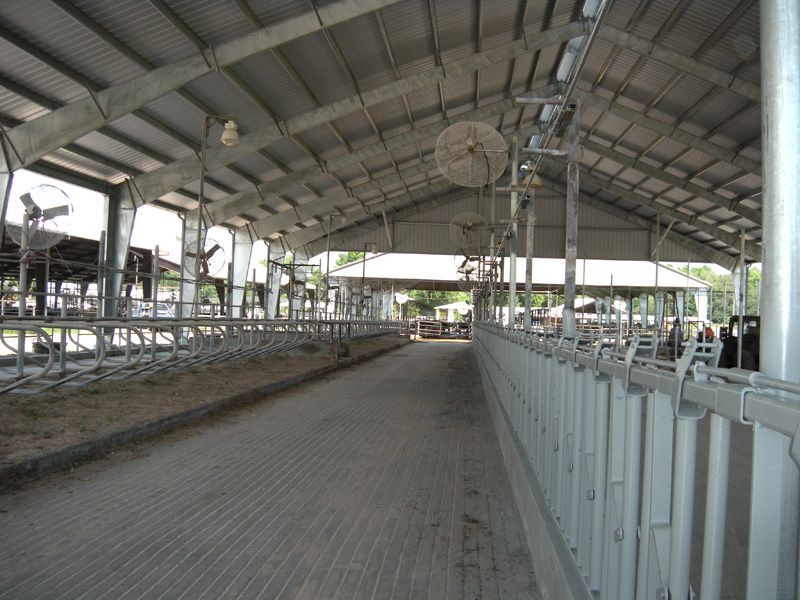 Interior of a livestock barn with metal fencing and a long concrete aisle.