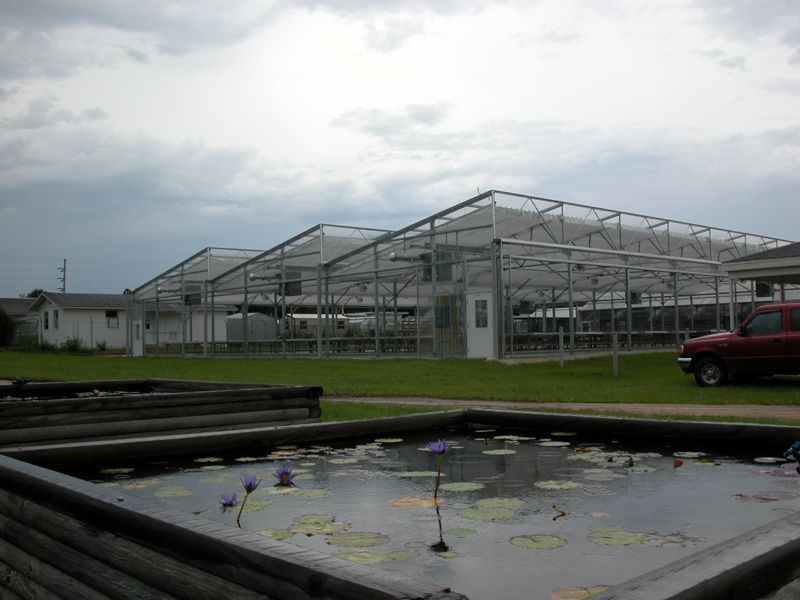 Greenhouses with a pond in the foreground, cloudy sky.