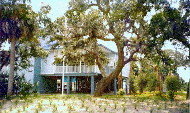 A two-story coastal house on stilts, partially obscured by a large tree, set in a sandy yard.