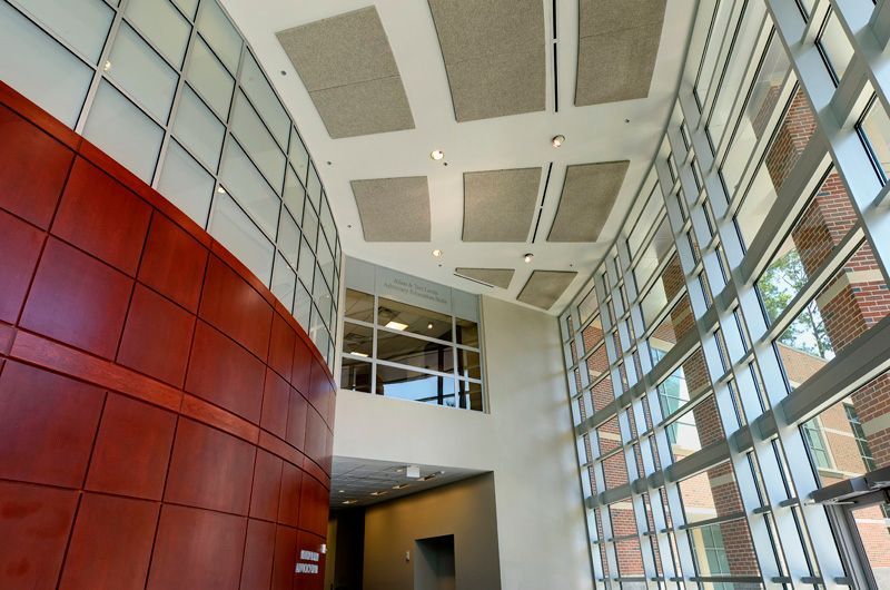 Modern building interior with red curved wall, large windows, and acoustic ceiling panels.