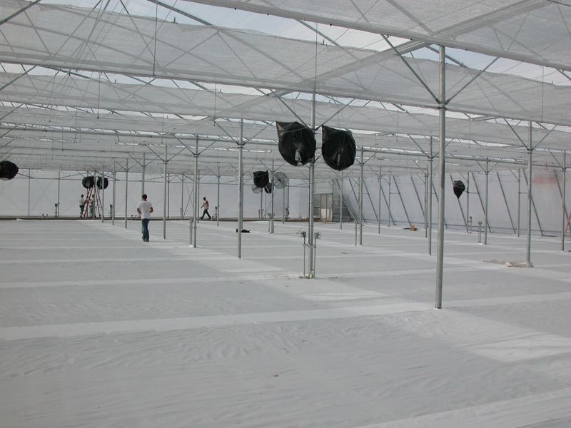 Inside a large, empty greenhouse with white covering. Metal framework supports the roof and walls. Several people stand inside.