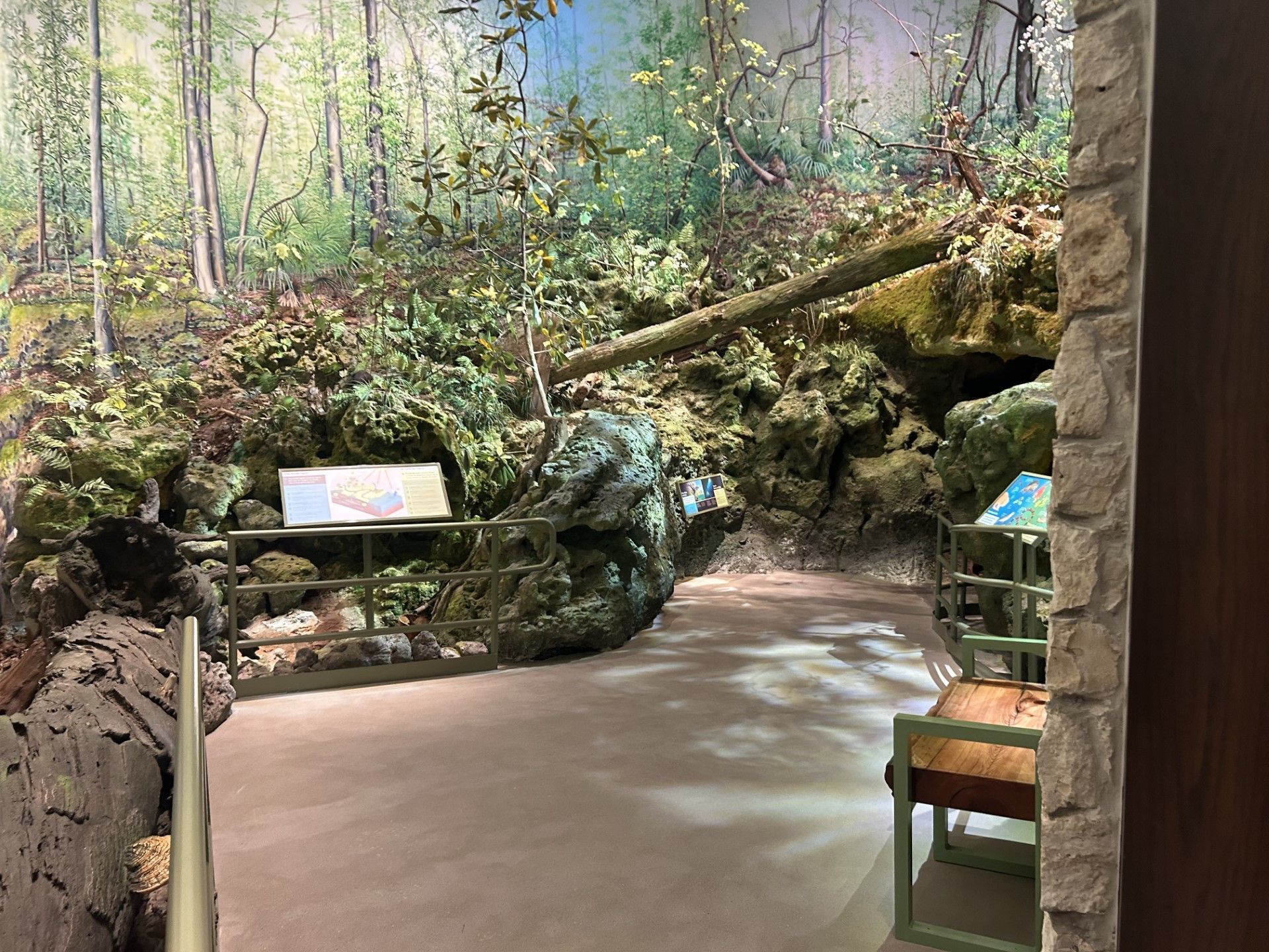 An indoor display: a cave-like exhibit with a forest backdrop, a path, and informational signs.
