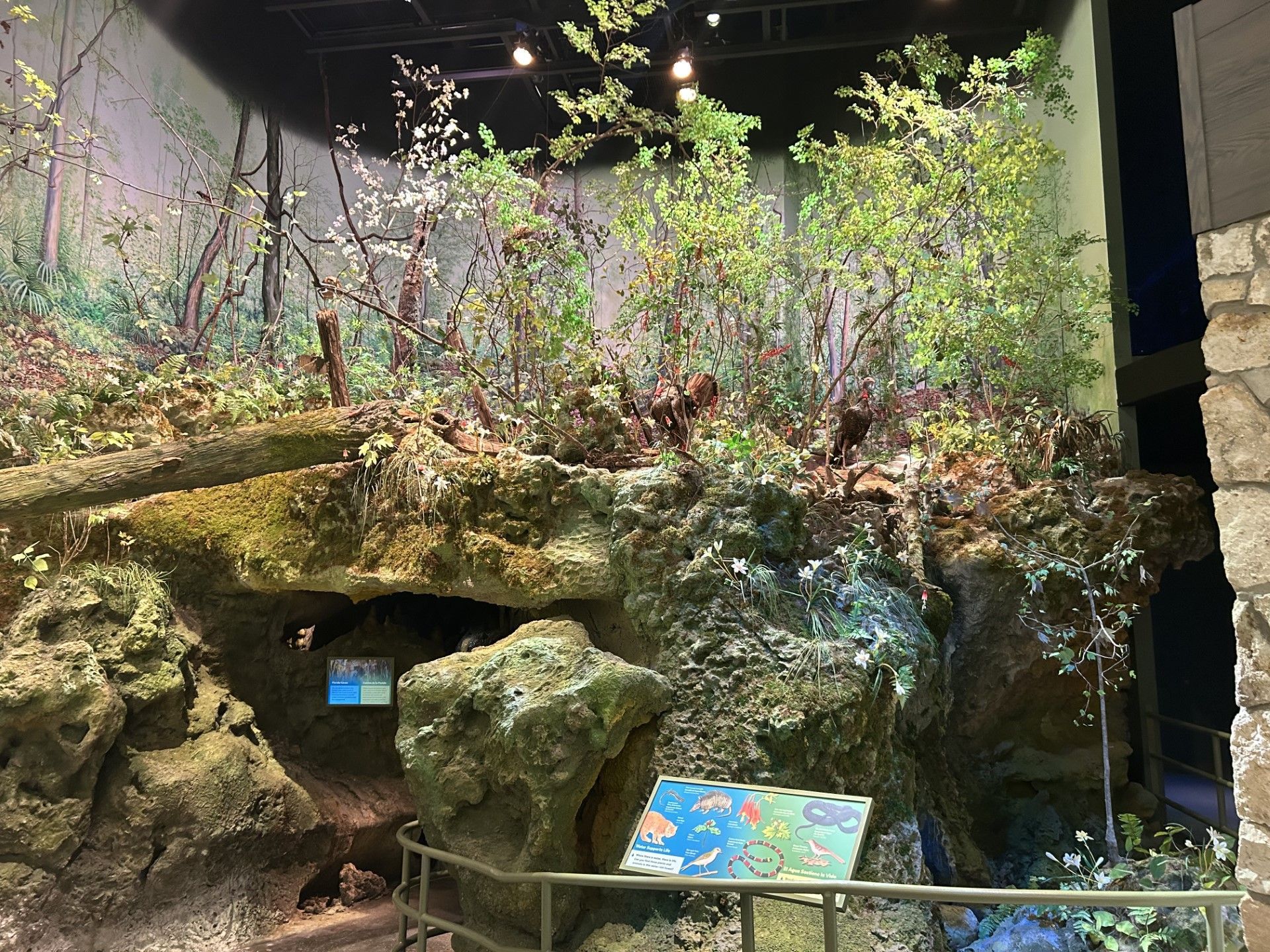 Exhibit of a rocky landscape with vegetation, featuring a cave opening and informational signage.
