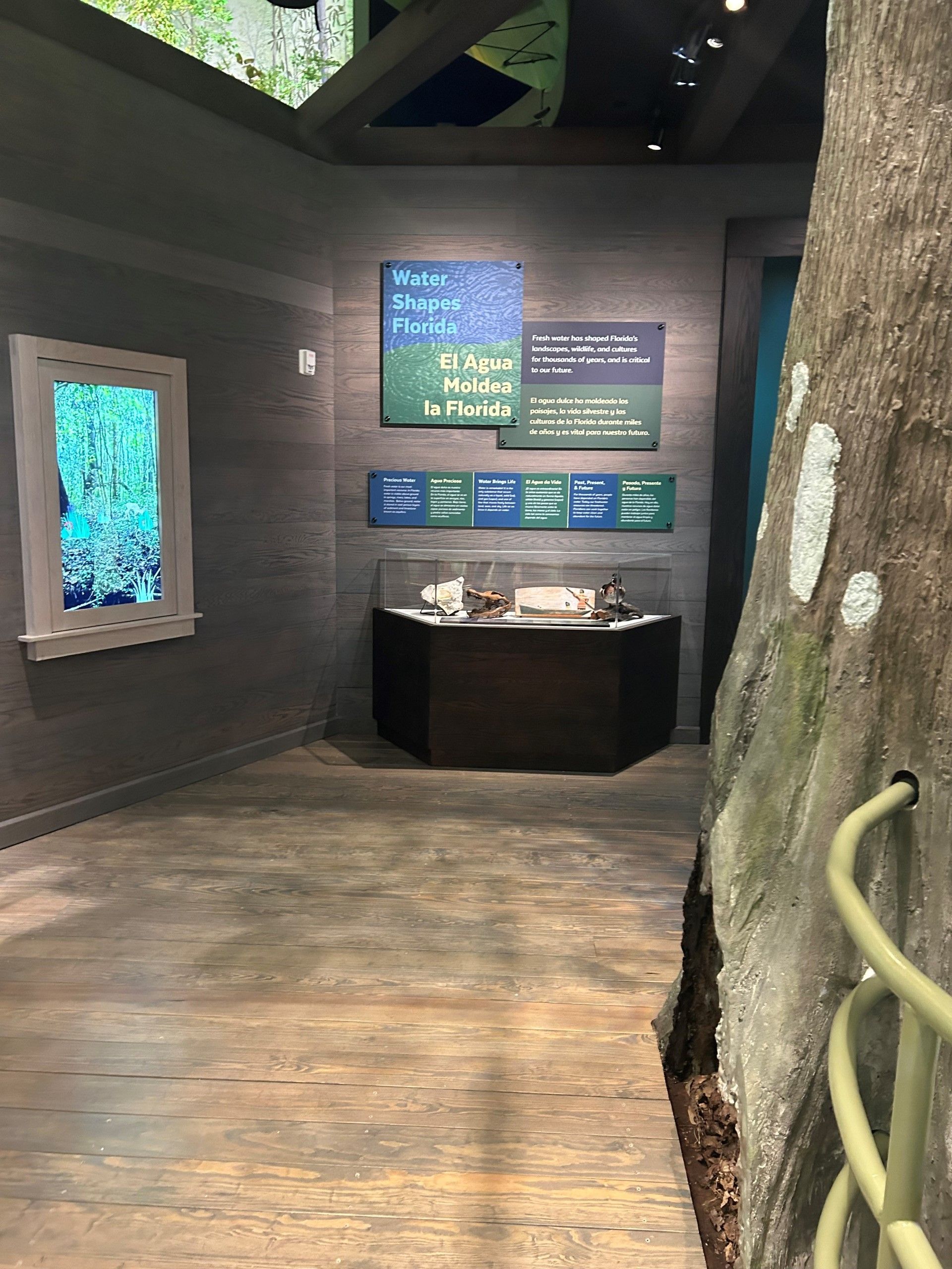 Exhibit with informational signs, display case, and a simulated tree trunk.