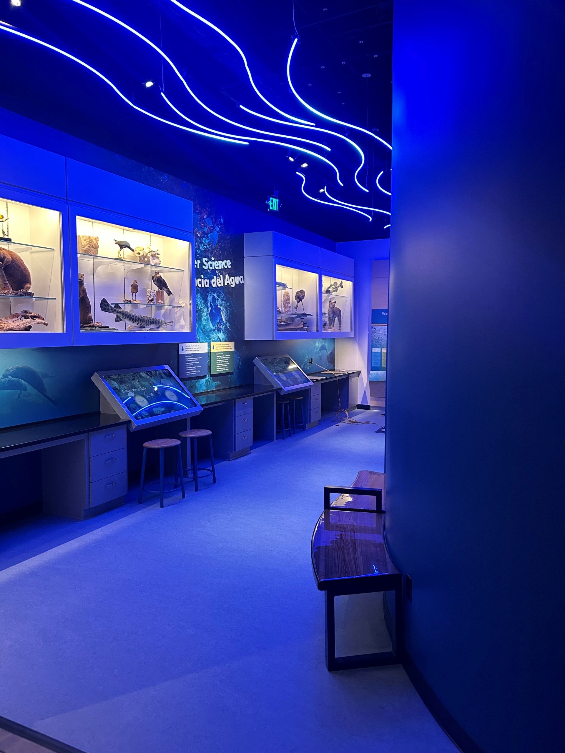 Blue-lit museum exhibit. Cases display objects, benches line the hall, and blue wavy lights adorn the ceiling.