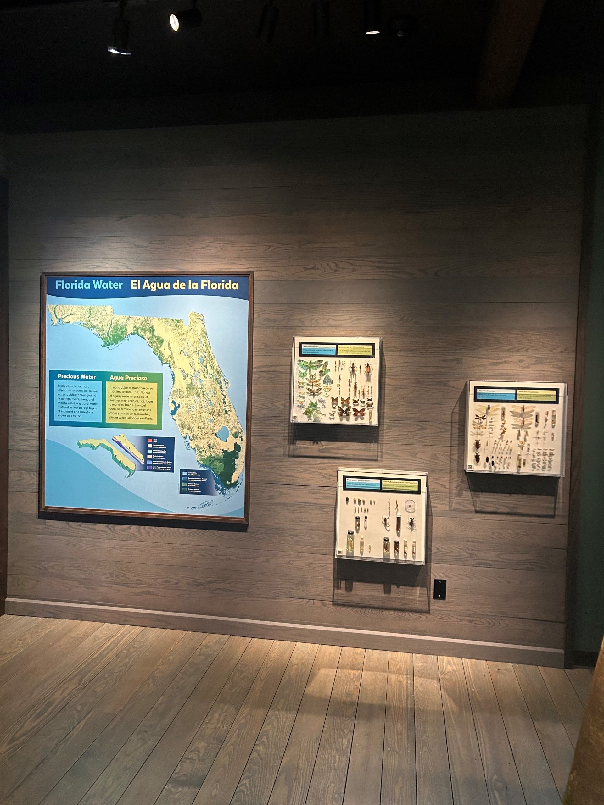 Wall display featuring a map of Florida and informational panels. Wooden floor and gray wall.