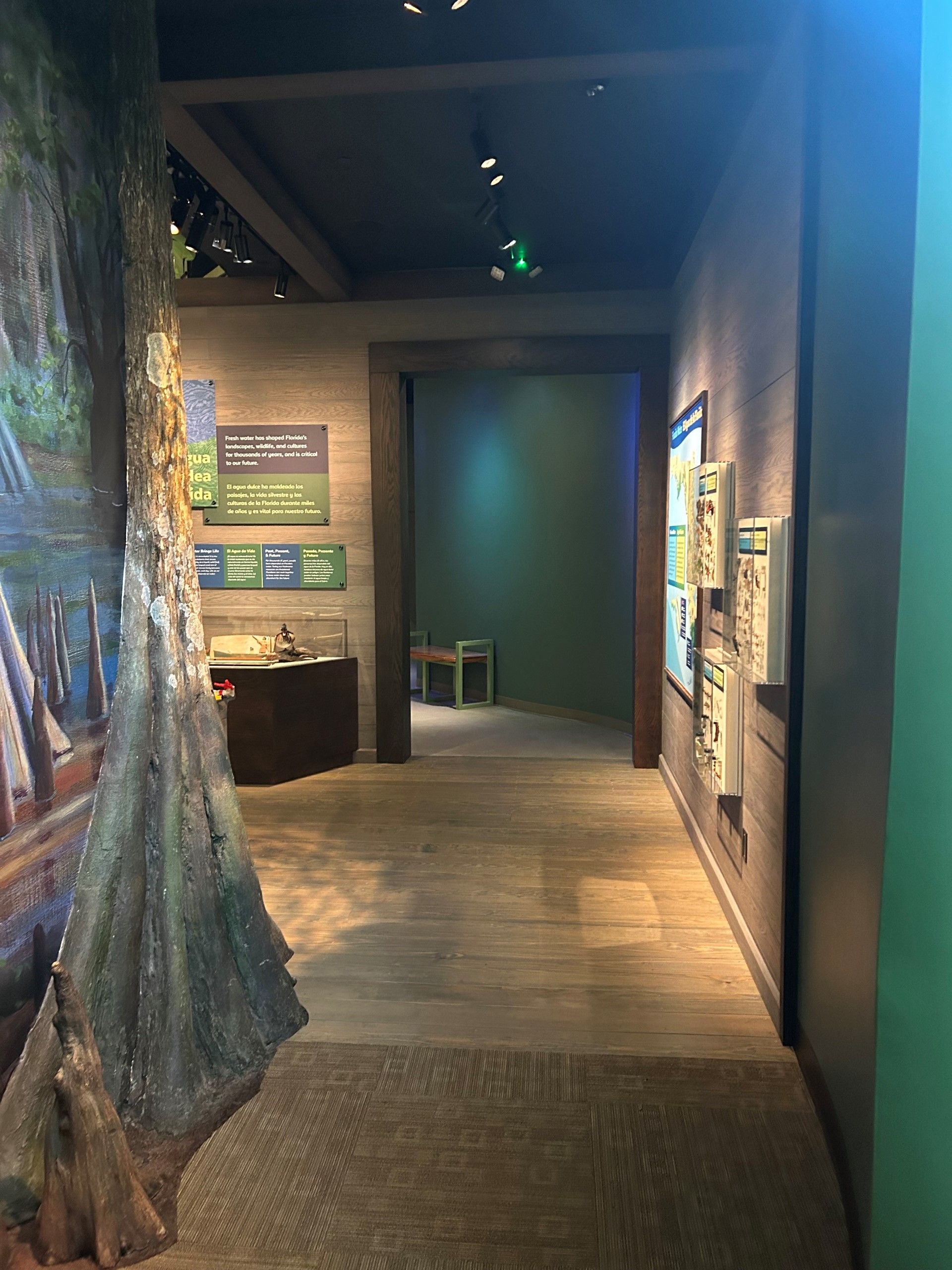 Museum hallway with wooden floor, exhibit displays, and a view into a dimly lit room.